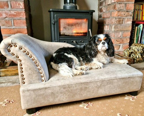Letto per cani - per, chaise