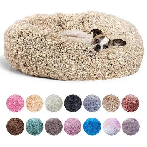 Cuccia per cani - cuccia,