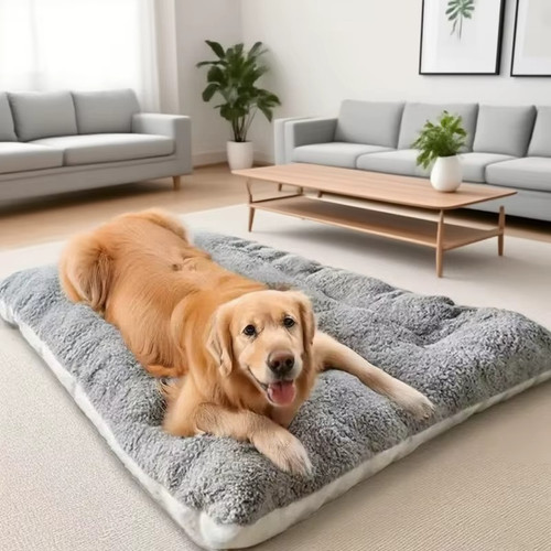 Divano letto per cani - divano,